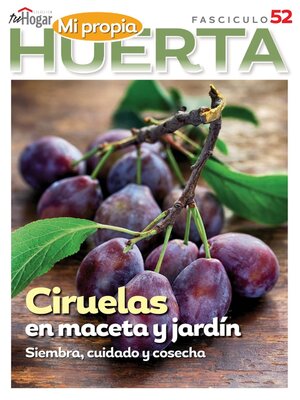La Huerta en Casa - Magazine